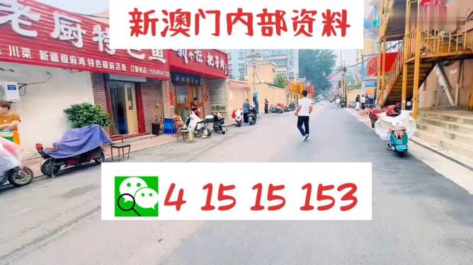 2024澳门天天开好彩大全53期，收益说明解析_GM版90.43.91