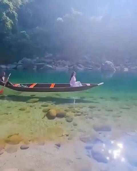最新浮力网，自然美景之旅，探寻内心平静与愉悦的旅程