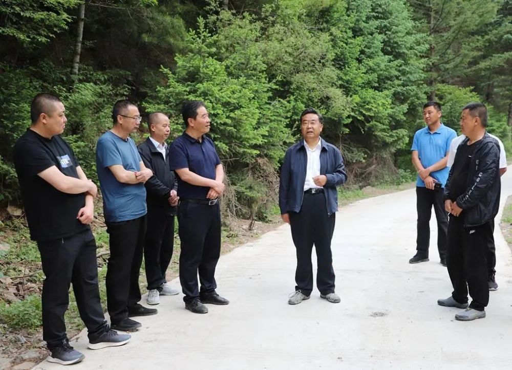 智慧树全新指南，学习技能与任务完成步骤详解