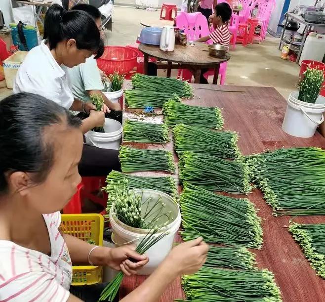怀集冷坑最新规划揭秘，小巷中的意外发现