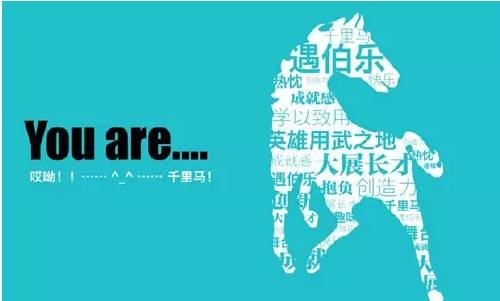 平原信息港最新招聘，探索自然美景，寻求内心宁静与平和之旅