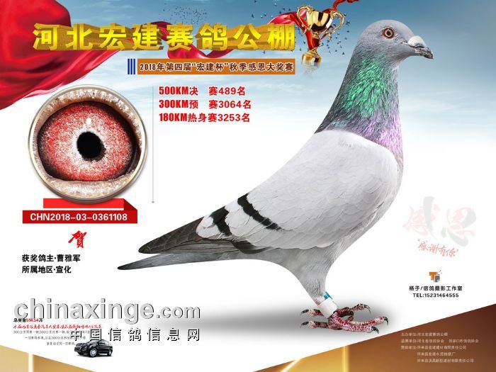 小巷特色小店 第5页