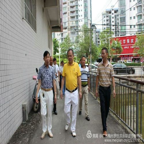 最新动态揭秘 第3页