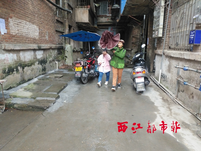 最新阜疫控，小巷深处的独特风味探索