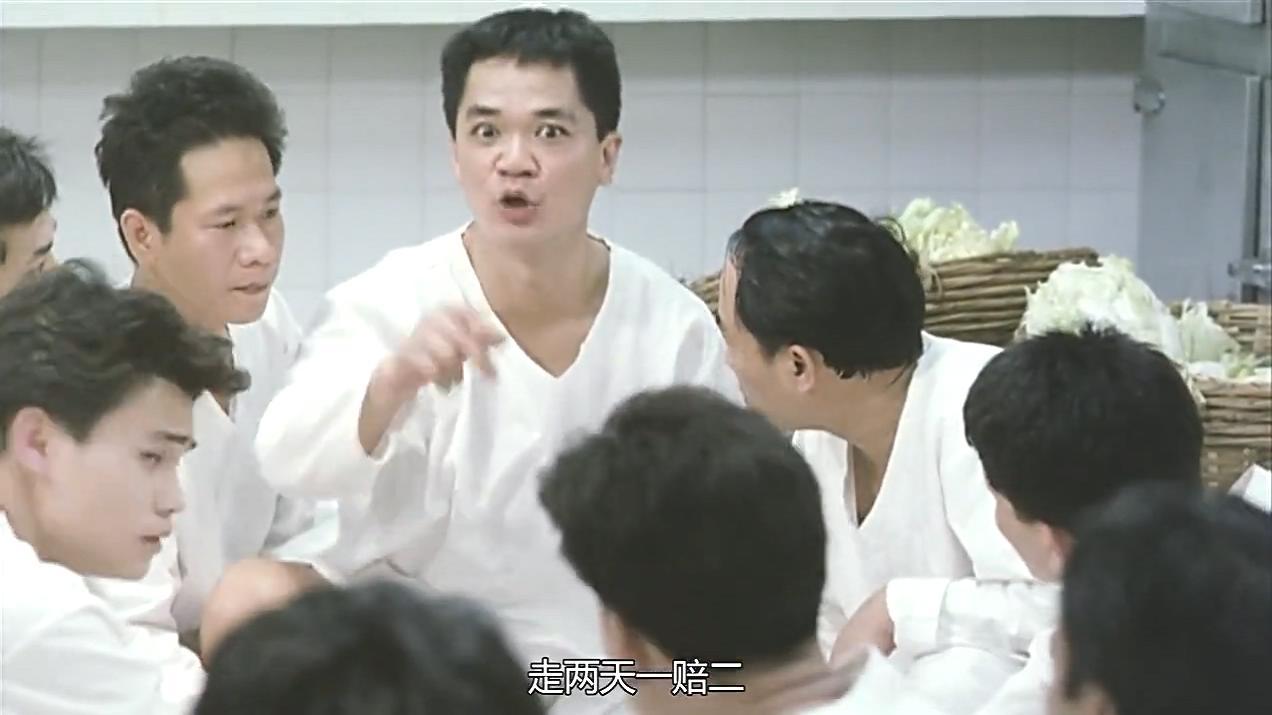 监狱风云2演员全解析，角色背后的故事与演技深度探讨