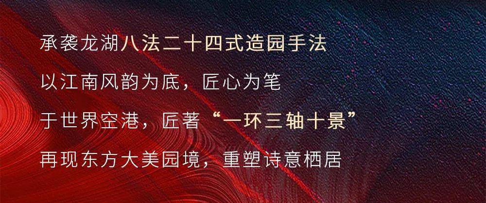 倾新热销，揭秘最新潮流奥秘