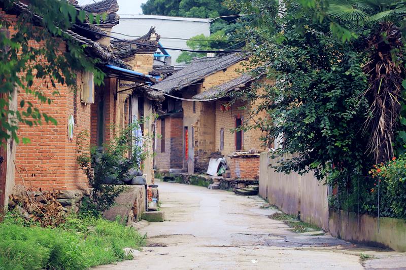 宁夏国企招聘资讯揭秘，小巷深处的职业机遇