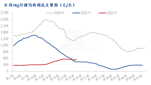 眉山生猪价格走势，市场趋势、影响因素与未来展望分析
