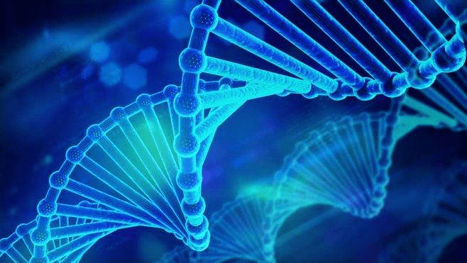基因科技重塑生命科学未来，最新突破引领科技发展新篇章