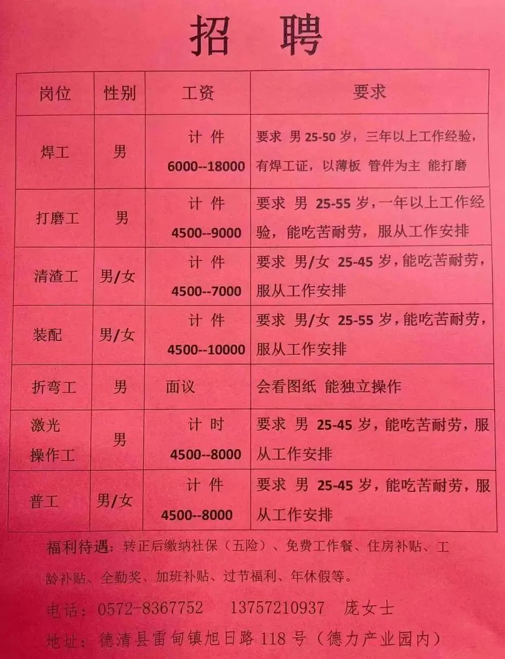 莘县最新招聘信息概览
