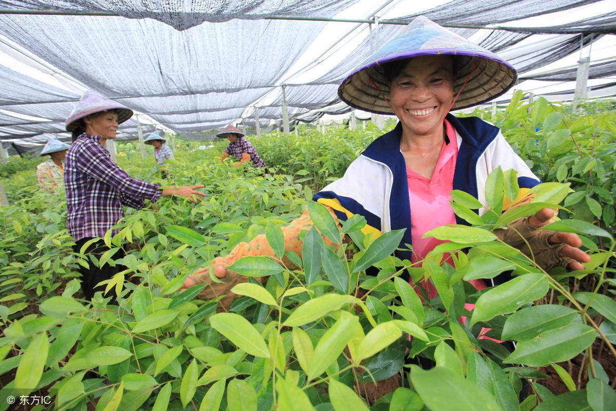 医疗政策最新动态，时代进步与影响的深度解读