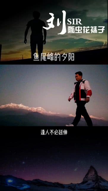 情感的追寻与表达，最新寻情记揭秘情感之旅的奥秘