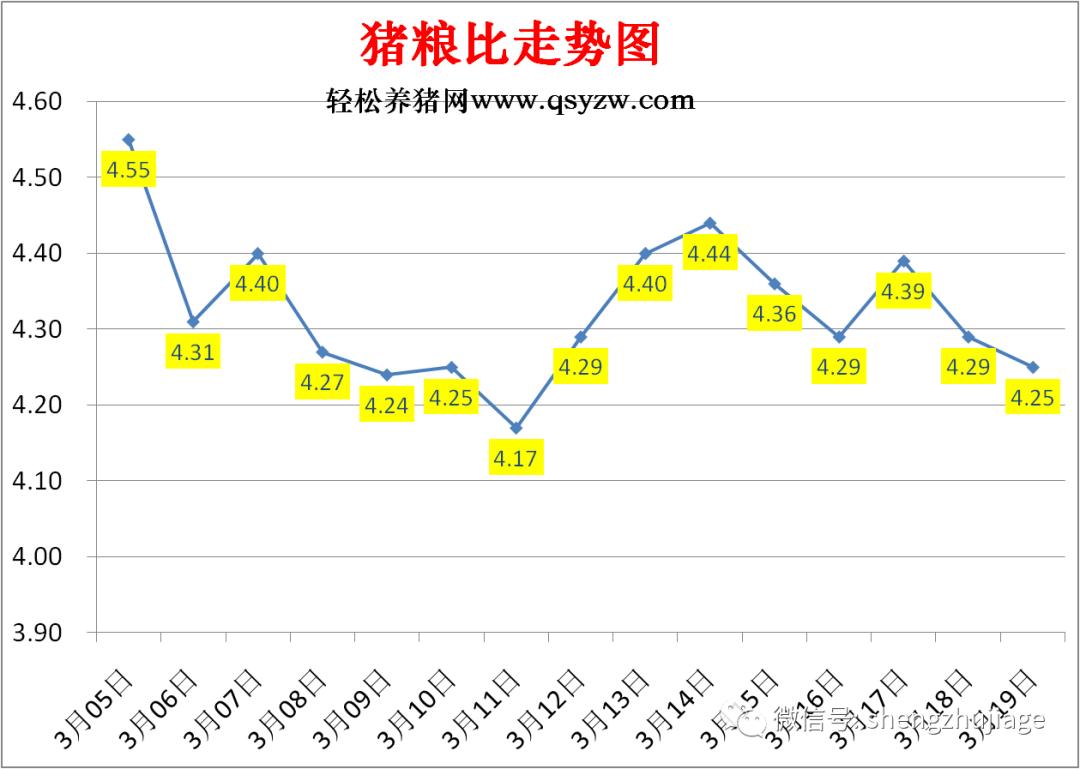 最新生猪价格表，市场走势分析与预测报告