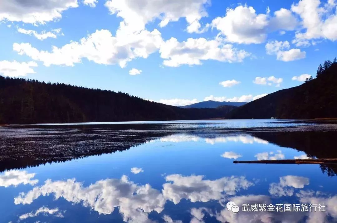 博全铝业 第78页