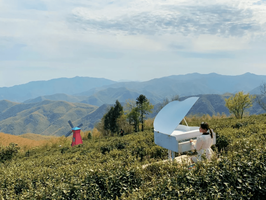 涿州房价动态与探索自然美景，寻找内心的宁静之旅