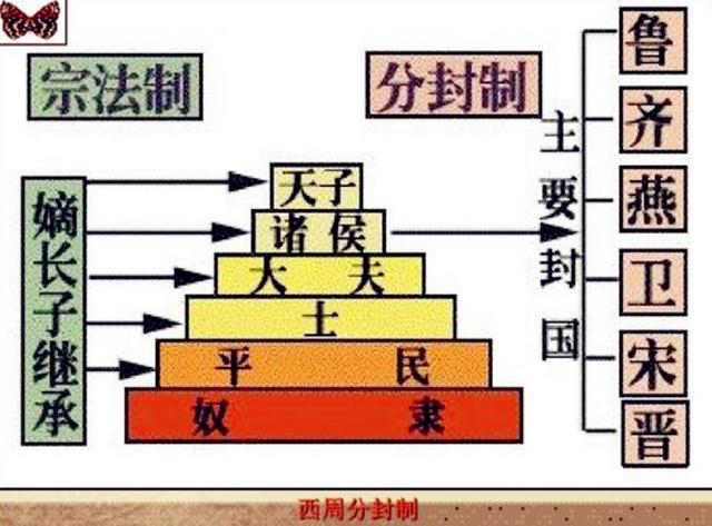 董花花最新动态，时尚潮流、社会影响与数字时代的崛起之路