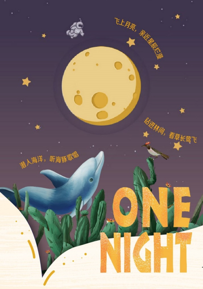 AVnight最新版，探索知识海洋，点亮自信之光