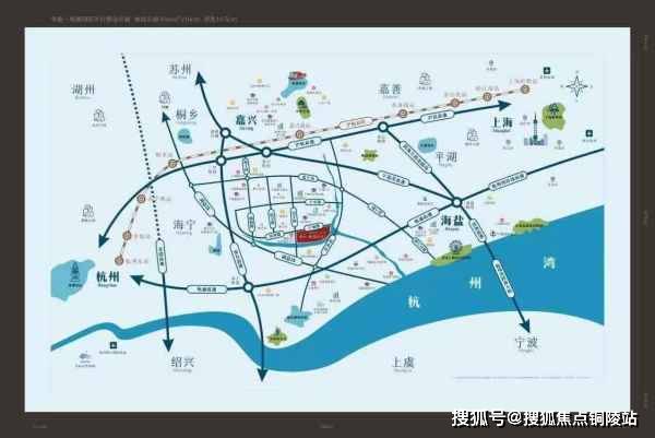 最新车祸网深度分析与个人观点分享