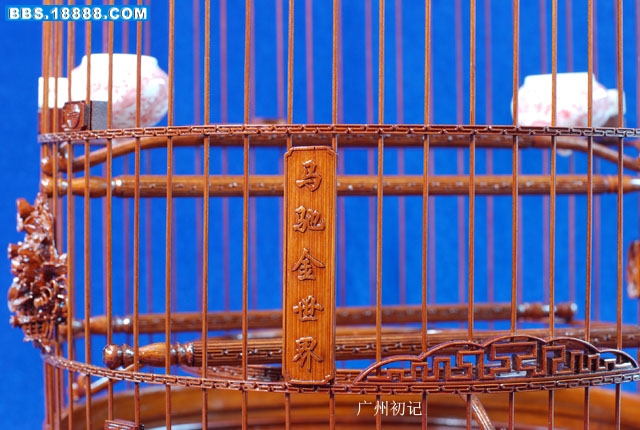 最新笼中对大揭秘，深度了解，尽在掌握