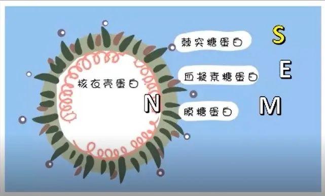 瑞德西韦最新动态，抗病毒领域的新篇章开启