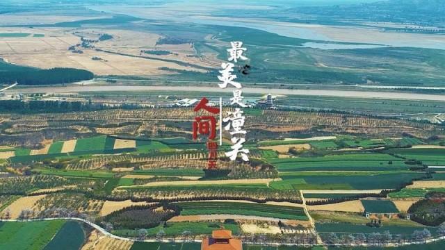 潼关最新新闻，小城温馨日常与深厚友情的交织故事