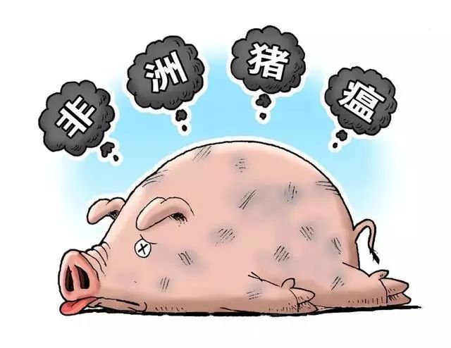猪瘟最新疫情动态与观点论述分析