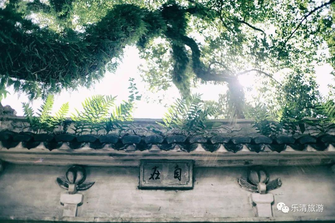 海南楼市最新动态与巷弄深处的独特小店探秘