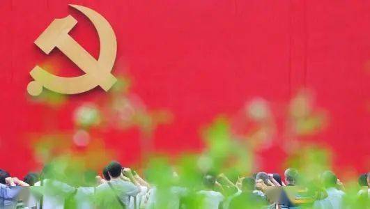 党员义务最新解读，学习、变革与自信的力量在行动