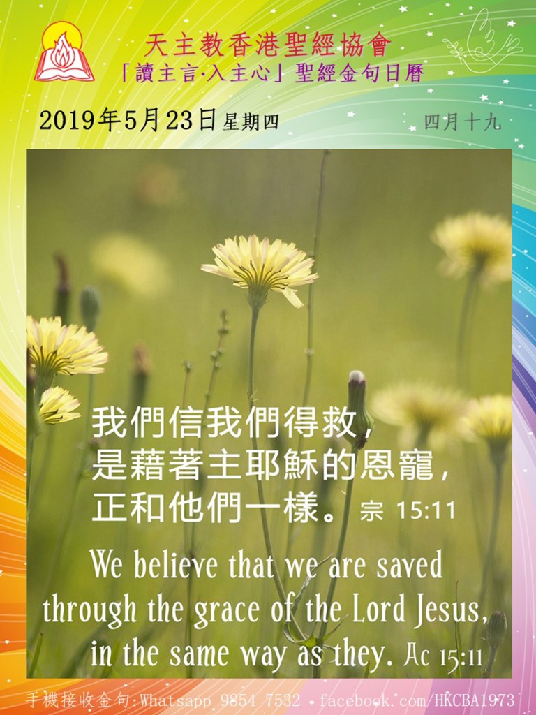 主日最新讲章，信仰与生活的交融观点探讨