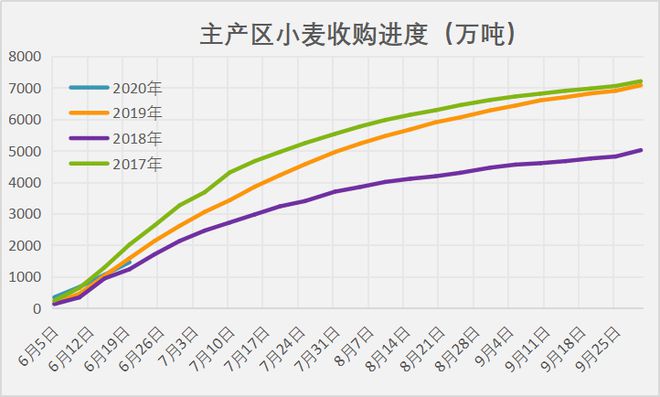 小麦最新行情走势揭秘，故事中的温情日常与价格动态分析
