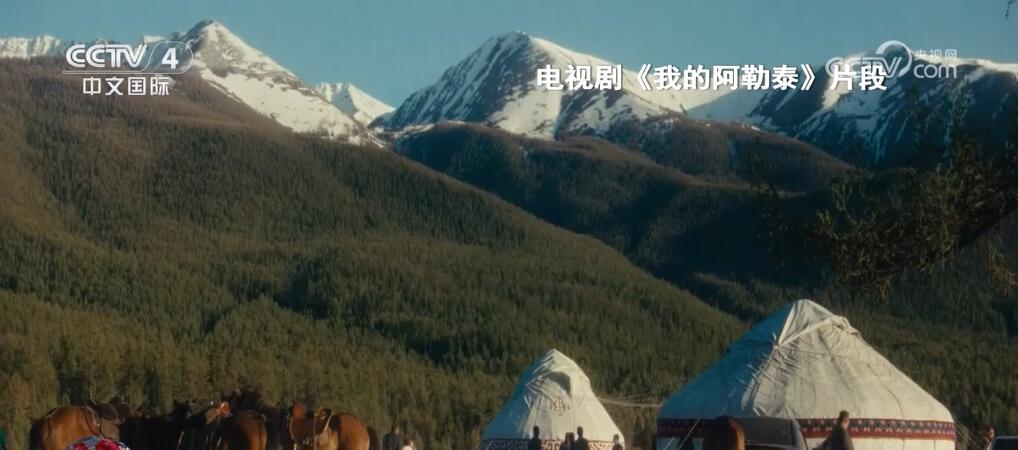 最新历史电视剧，自然美景的心灵探索之旅，寻找内心平和的旅程