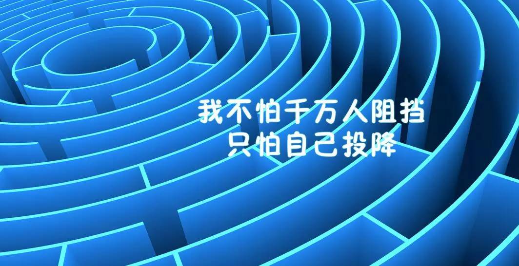 金币堆积如山的励志之旅，自信闪耀的刷金币学习之旅