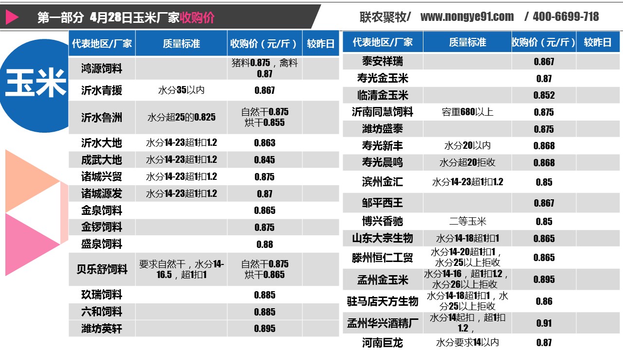 玉米面价格实时更新与最新行情分析