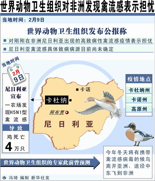 全球禽流感最新态势及应对策略解析