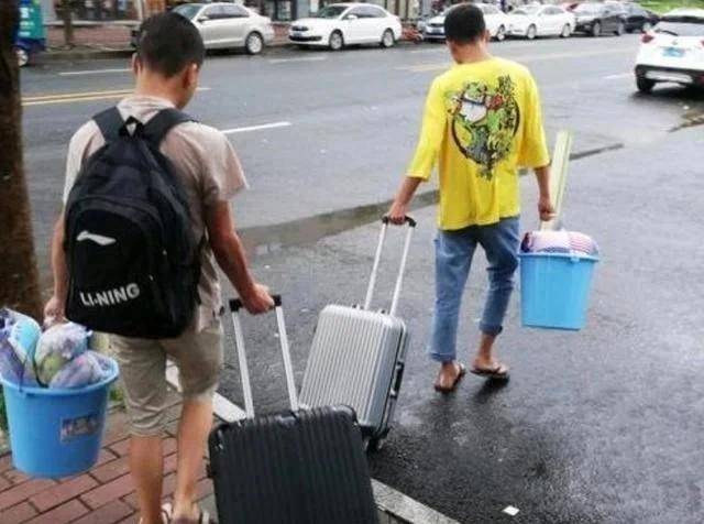 广东鸡价格最新动态，学习变化中的市场趋势，自信成就未来力量