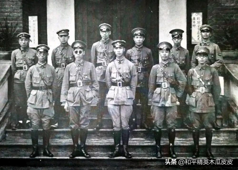 下载新华字典最新版，全面领略中华文化精髓