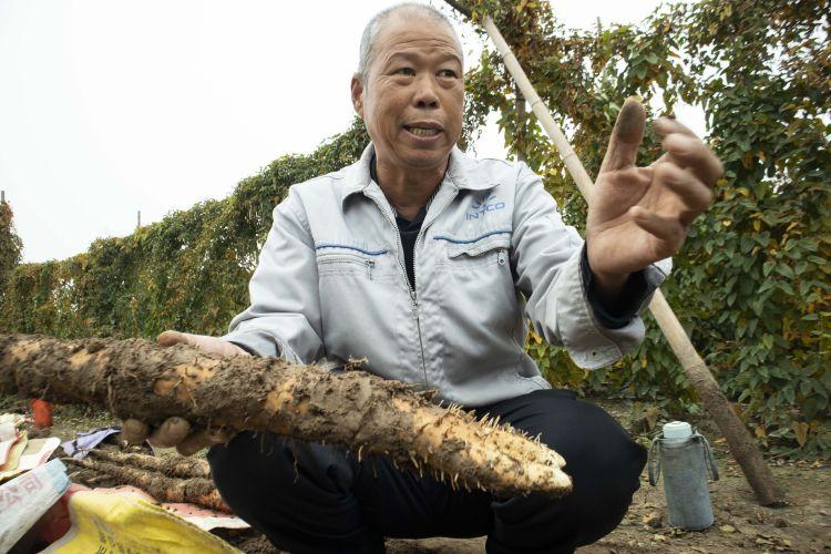 铝合金型材玻璃隔断墙 第3页