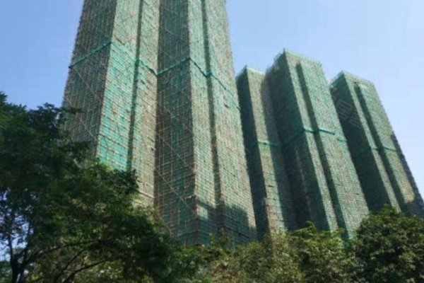 佛山金域缇香最新报价及市场走势与个人立场分析