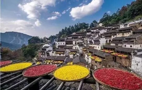道山集团最新动态，小巷中的独特风味探索之旅揭秘