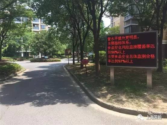 崇明新河绿舟星城，邻里间的日常趣事与深厚情谊揭秘最新动态