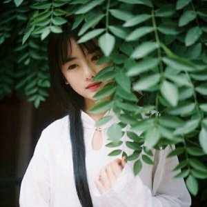 总裁老公宠入骨南笙最新，小巷风情小店中的甜蜜宠溺故事