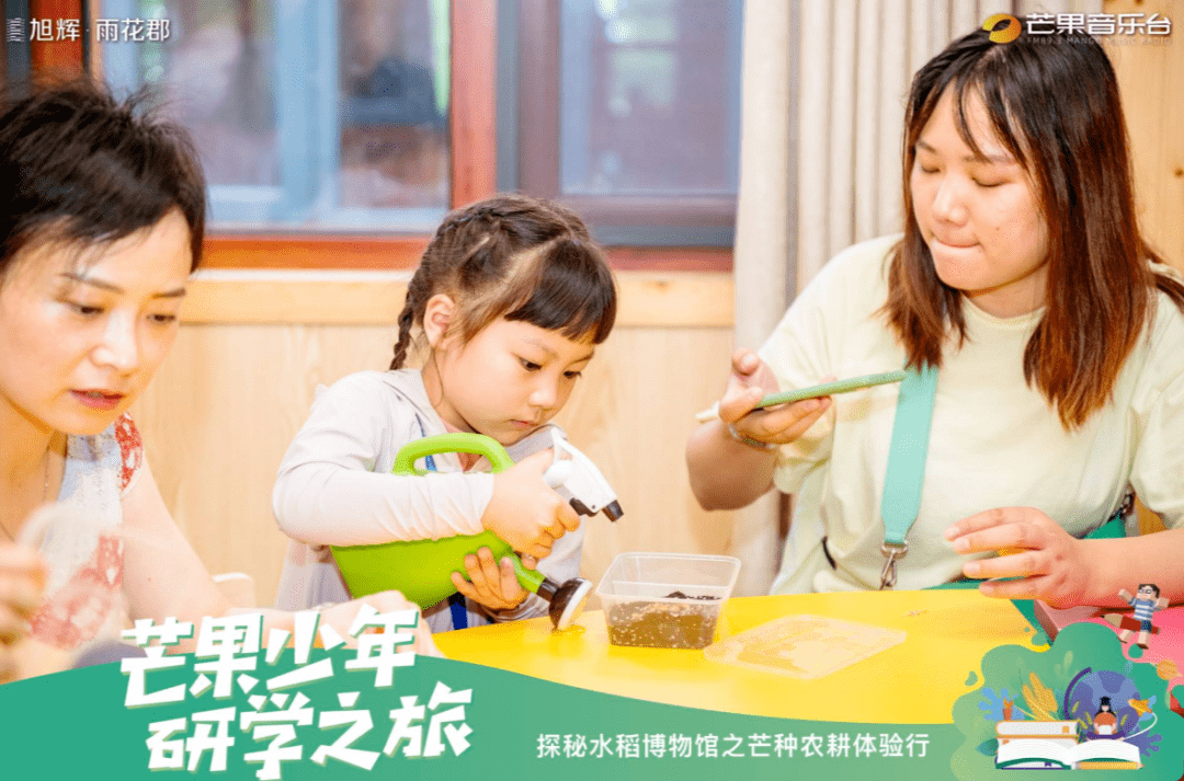 凤凰天仙城，变化中的学习之旅，成就感的源泉最新消息揭秘