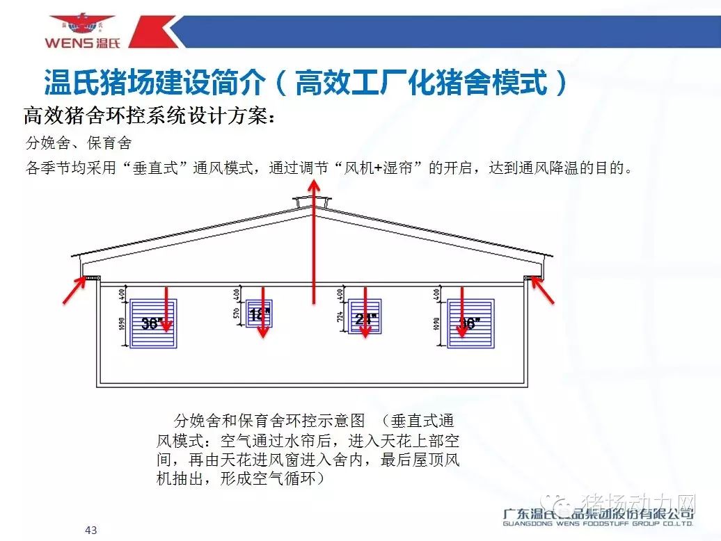 温氏猪舍新篇章，最新建设图纸与温馨故事揭秘
