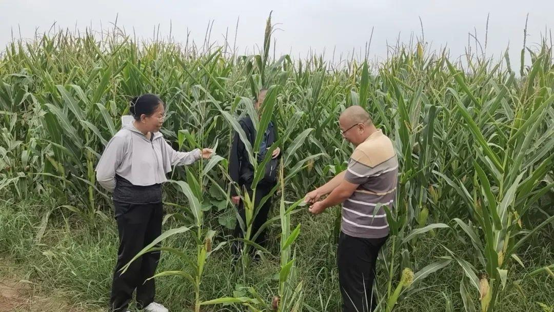 江西省最新病虫情报，挑战与机遇并存，自信与成就展现力量