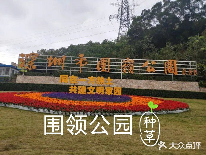 围岭公园绿色课堂，自信与成长的摇篮最新动态。