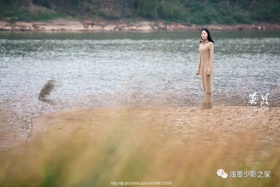 水沐晨光，晨光中的温馨趣事最新章节阅读