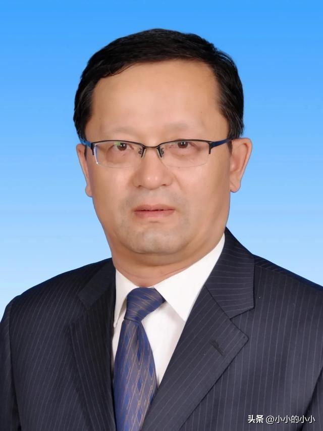新疆霍城最新干部任免，多维度视角下的深度探讨