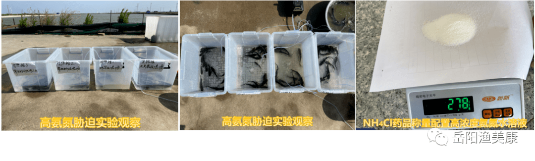全面数据策略解析：新奥门全年免费料_iPad42.22.7