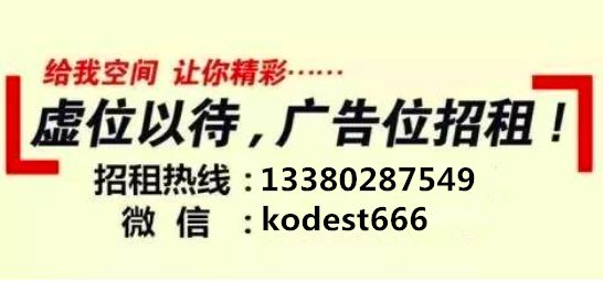 莒县司机最新招聘信息，行业现状、个人观点与求职指南