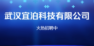 武汉最新招聘信息概览与求职指南